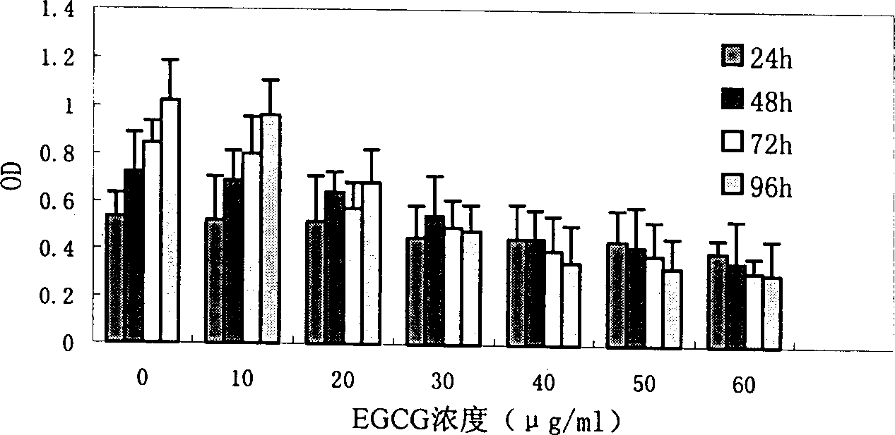 Application of Epigallocatechin gallate (EGCG) in anti-tumor medicine