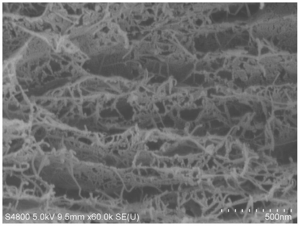 Graphene composite aerogel film with rivet structure as well as preparation method and application of graphene composite aerogel film