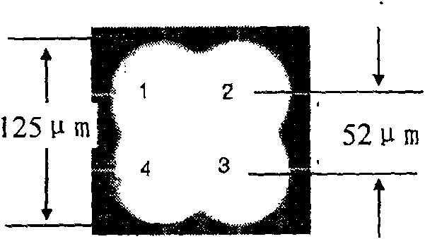 Multiple light forceps integrated on simple optical fiber