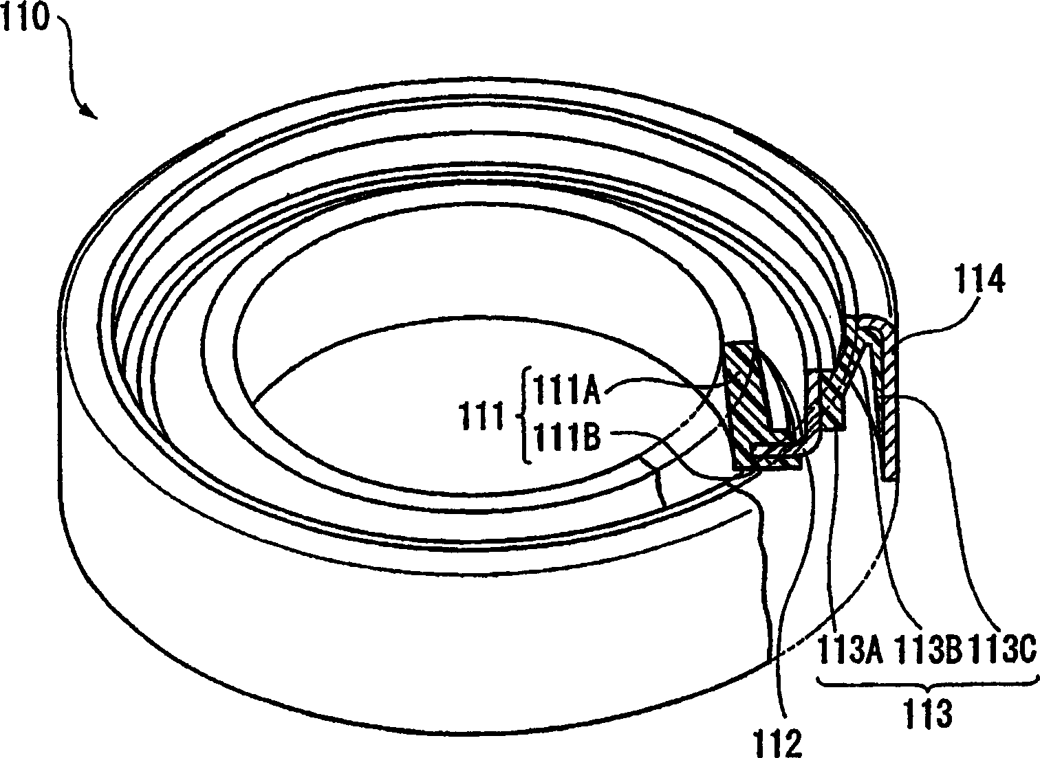 Bearing seal and swing device