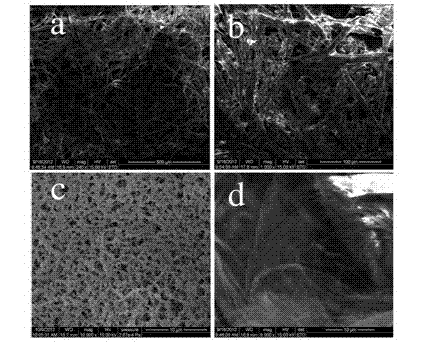 Surface enhanced raman spectrum printing test paper for field test and preparation method thereof