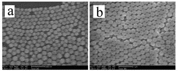 Surface enhanced raman spectrum printing test paper for field test and preparation method thereof