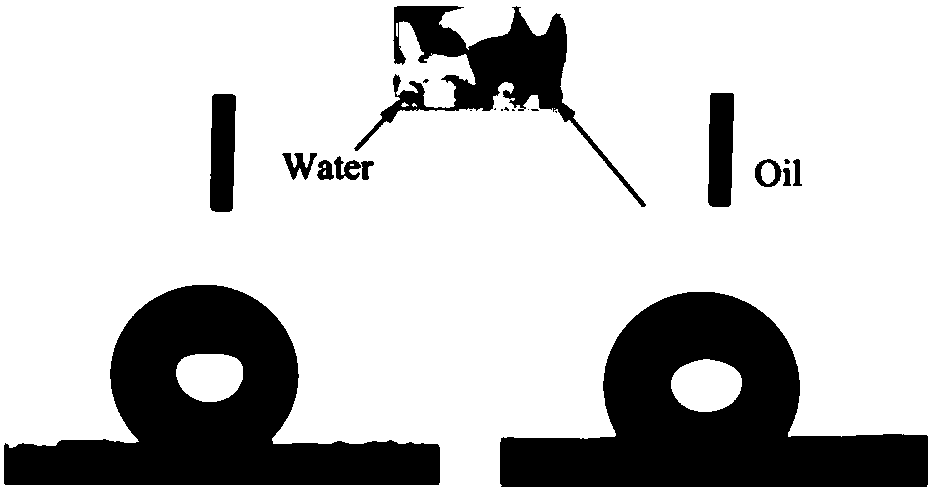 Hydrophobic and oleophobic self-cleaning coating, preparation method and application of hydrophobic and oleophobic self-cleaning coating and solar equipment