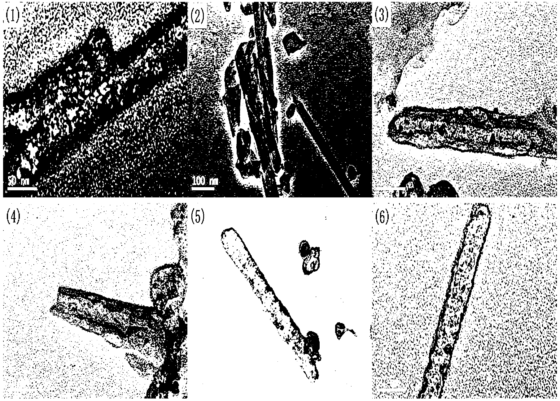 Preparation method of polyaniline nanotubes