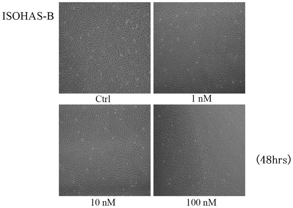 External preparation for vascular abnormality treatment