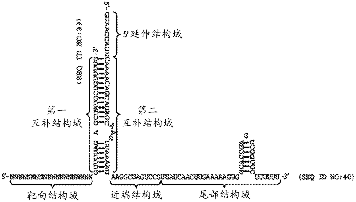 Crispr/cas-related methods and compositions for treating beta hemoglobinopathies