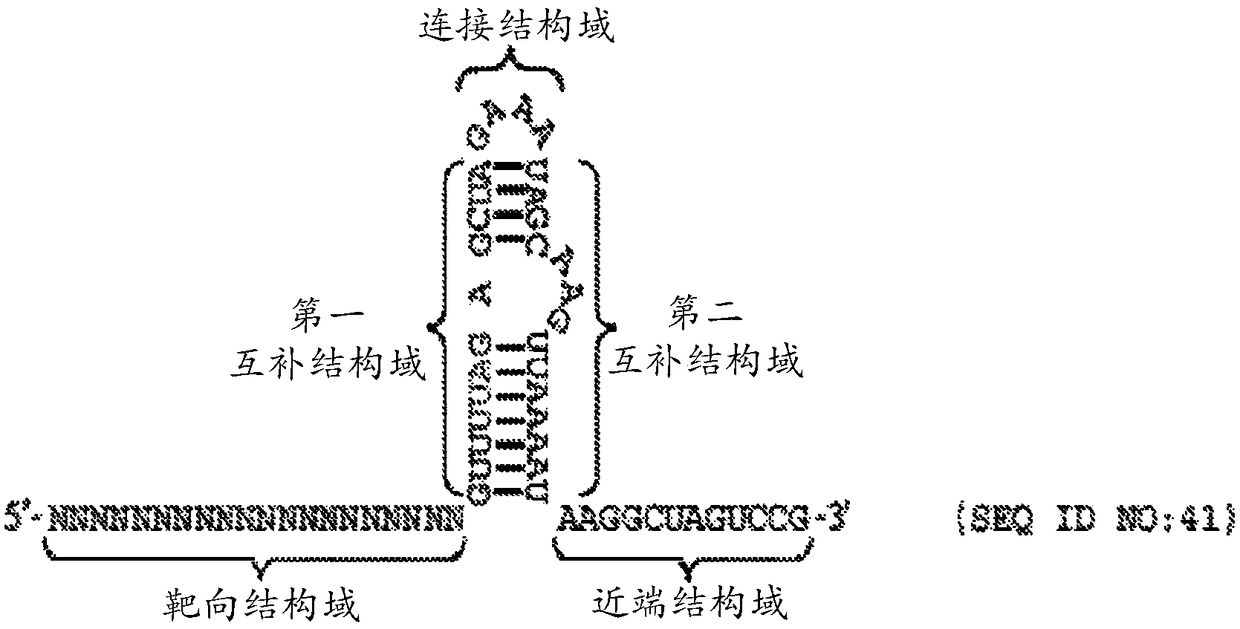 Crispr/cas-related methods and compositions for treating beta hemoglobinopathies