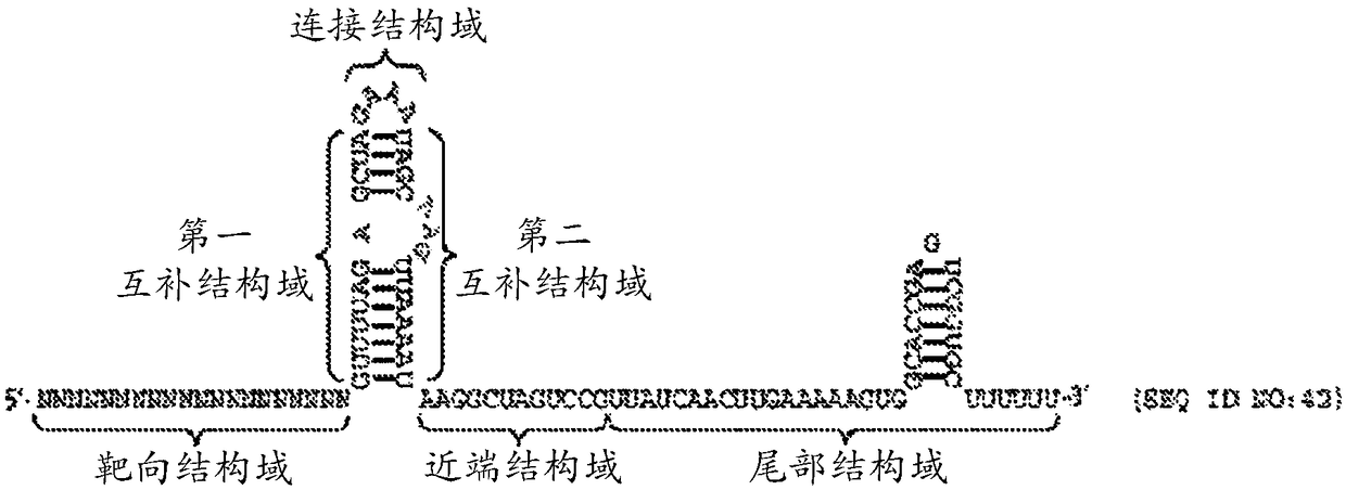 Crispr/cas-related methods and compositions for treating beta hemoglobinopathies