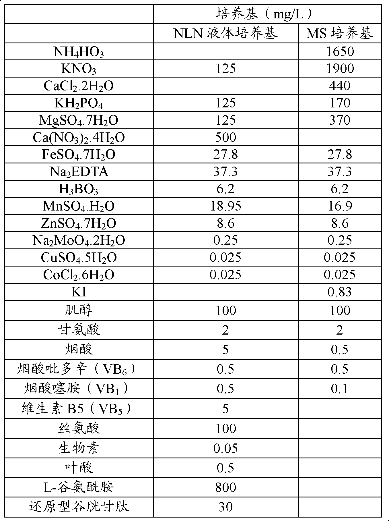 Method for culturing regeneration plants of Brassica oleracea microspores