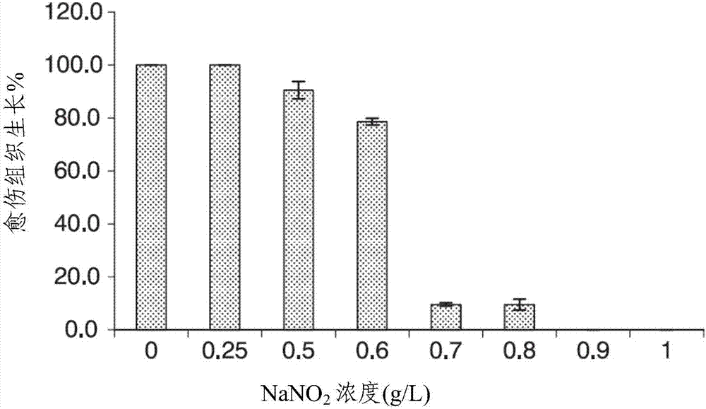 Method of producing plastid transformants