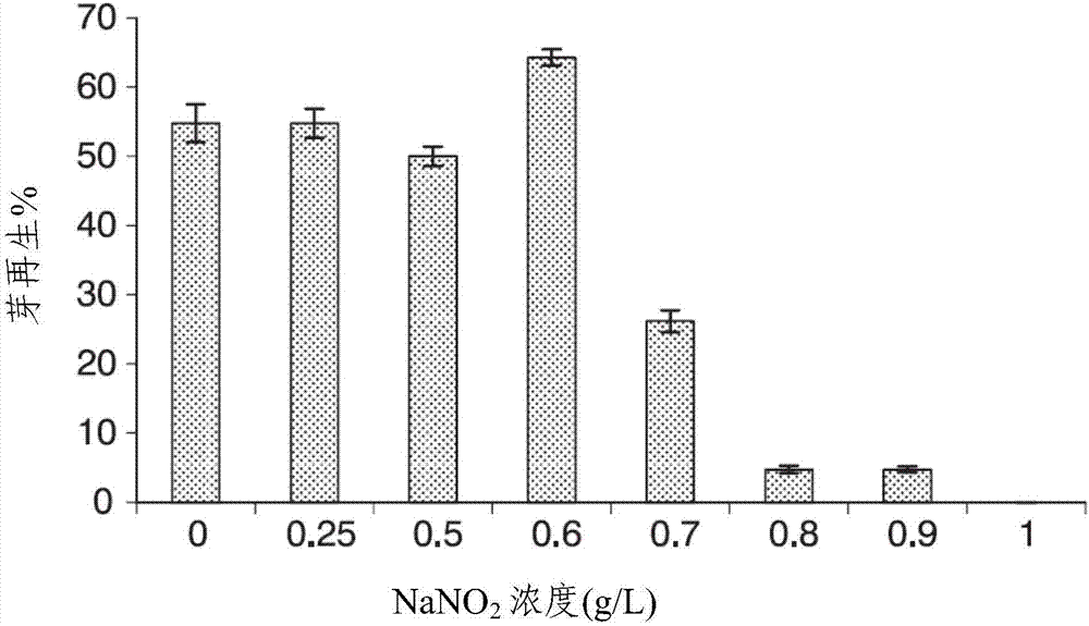 Method of producing plastid transformants