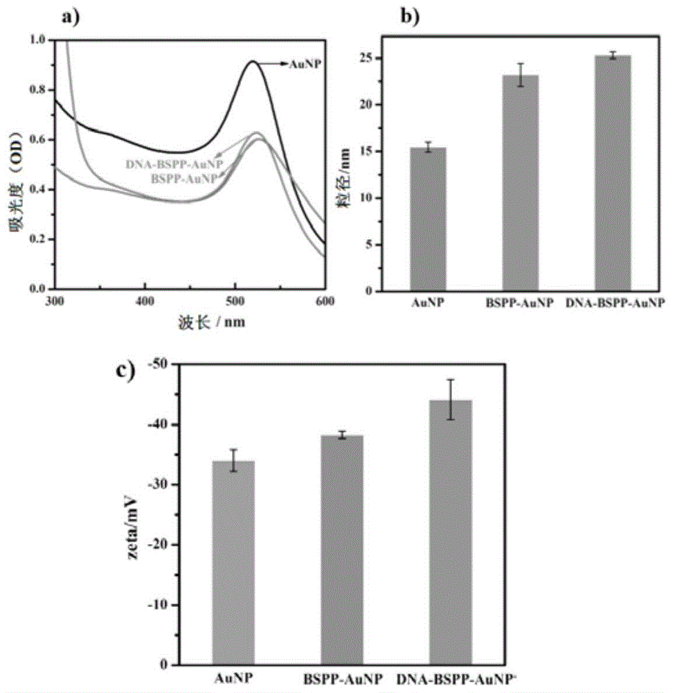 DNA flexagon nano structure-nanogold biosensor based on adapter modification and preparing method and application of DNA flexagon nano structure-nanogold biosensor