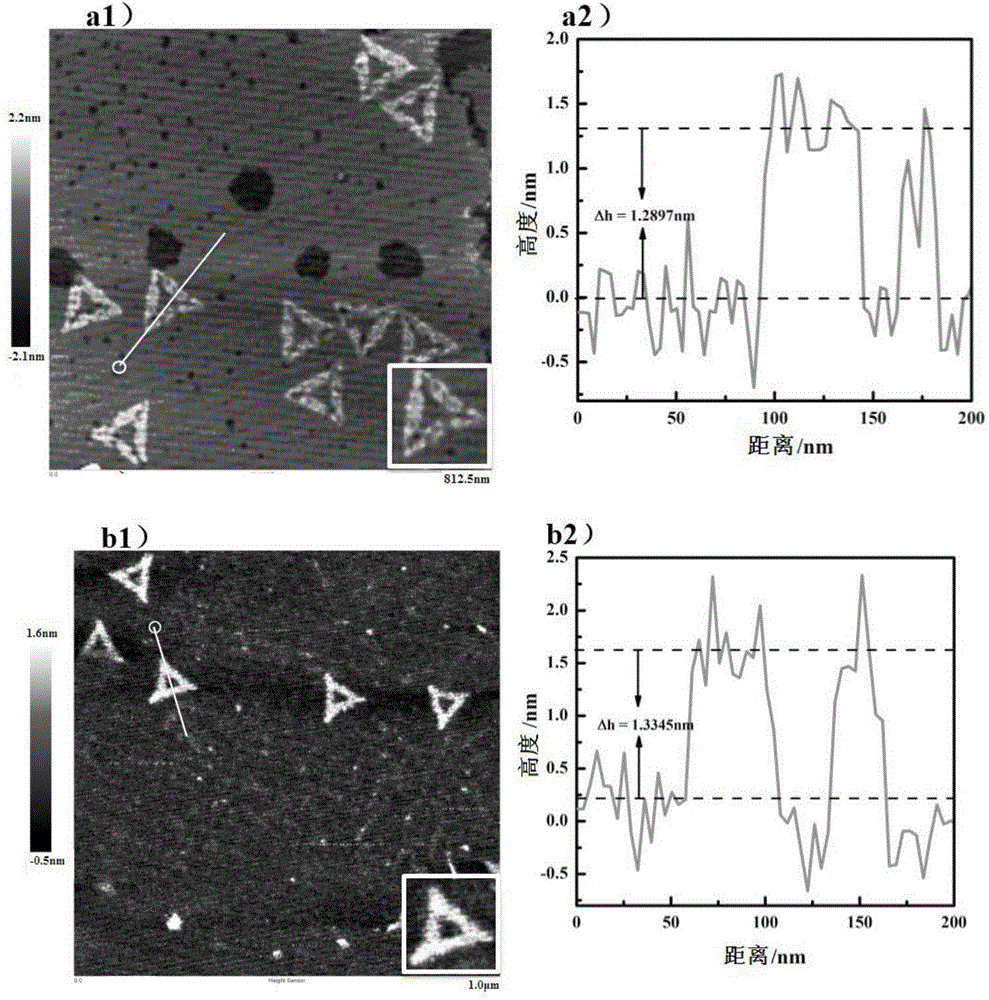 DNA flexagon nano structure-nanogold biosensor based on adapter modification and preparing method and application of DNA flexagon nano structure-nanogold biosensor