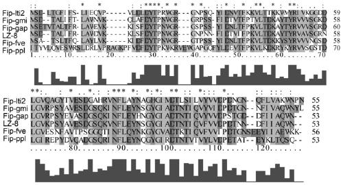 A kind of tiger skin shiitake mushroom immunoregulatory protein fip-lti2 and its preparation method and application