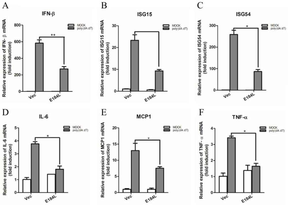 Construction of attenuated African swine fever virus strain with e184l gene deletion and its application as a vaccine