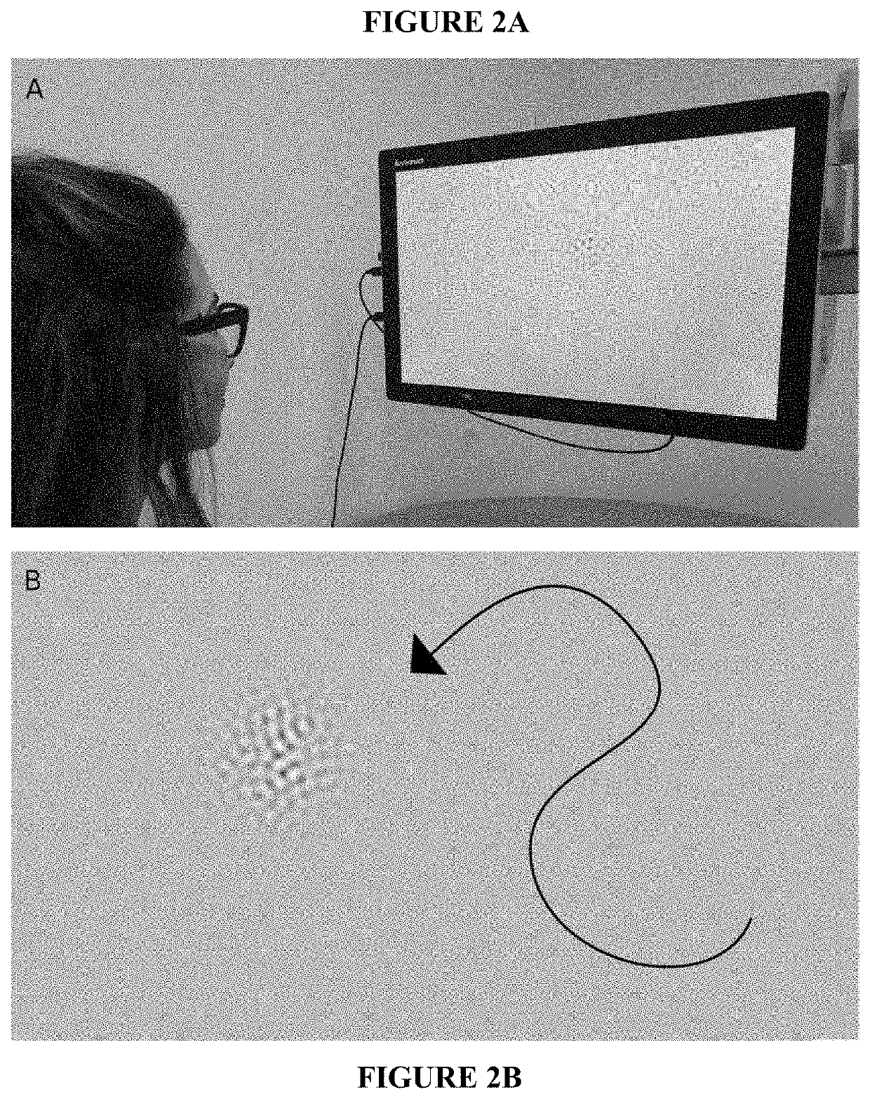 Systems and Methods for Evaluating Contrast Sensitivity and Other Visual Metrics