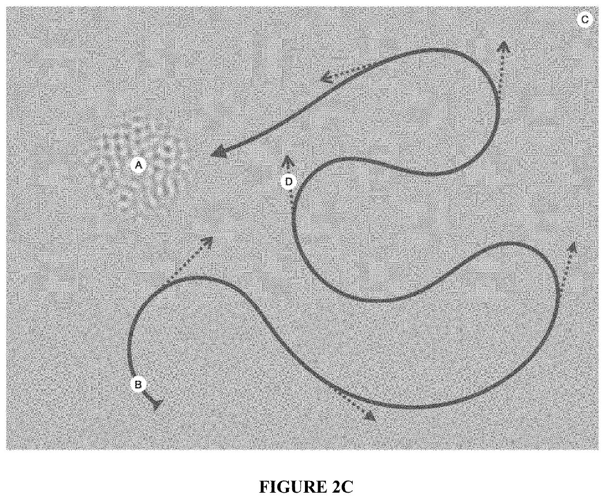 Systems and Methods for Evaluating Contrast Sensitivity and Other Visual Metrics