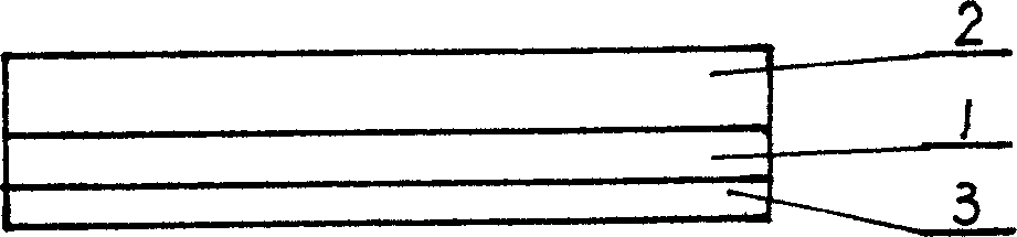 Composite foaming geomembrane