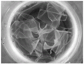 Transparent reproductive bacterial cellulose reproductive membrane as well as preparation method and application thereof