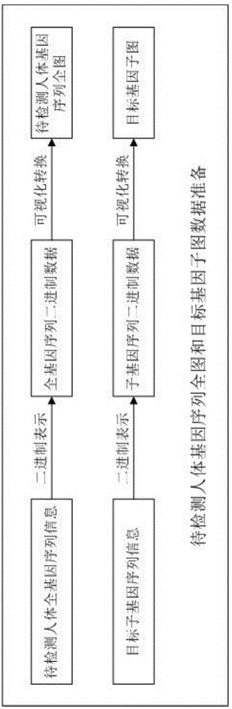 Method for comprehensively analyzing gene sub-graph similarity probability current by use of multiple image detection technologies