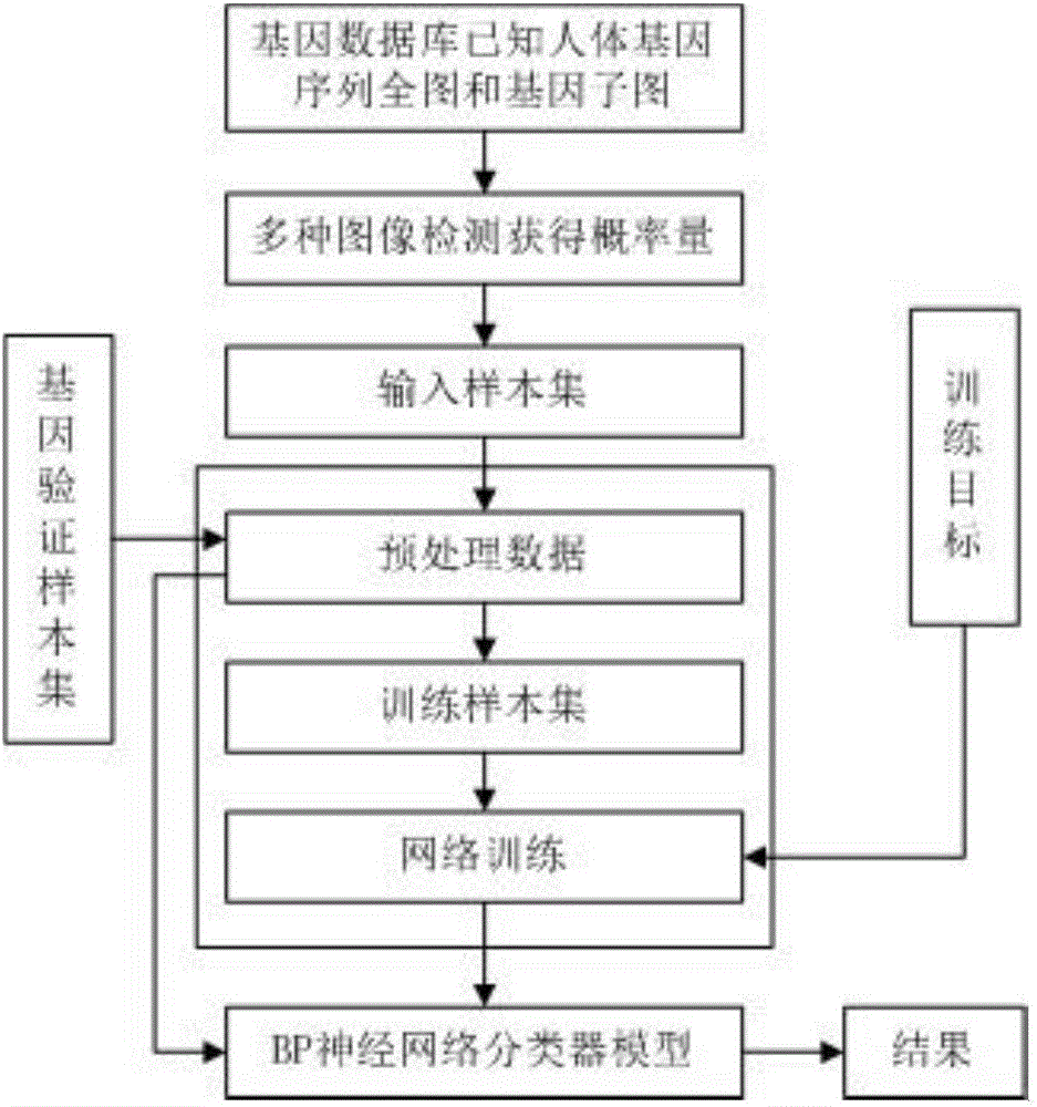 Method for comprehensively analyzing gene sub-graph similarity probability current by use of multiple image detection technologies