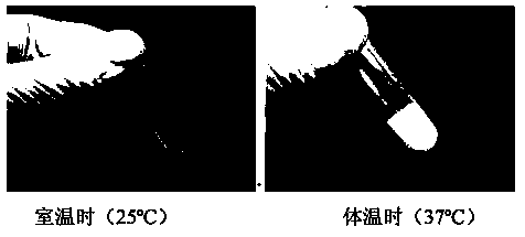 Preparation method of quick dissociative type thermosensitive hyaluronic acid hydrogel