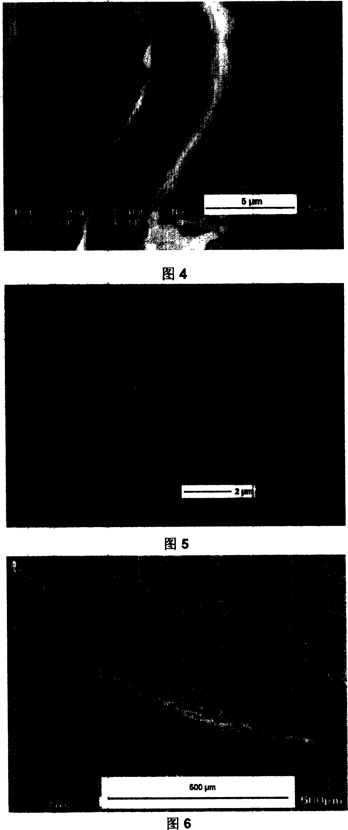 No-solvent electrically spinning process for preparing micron and nanometer fiber