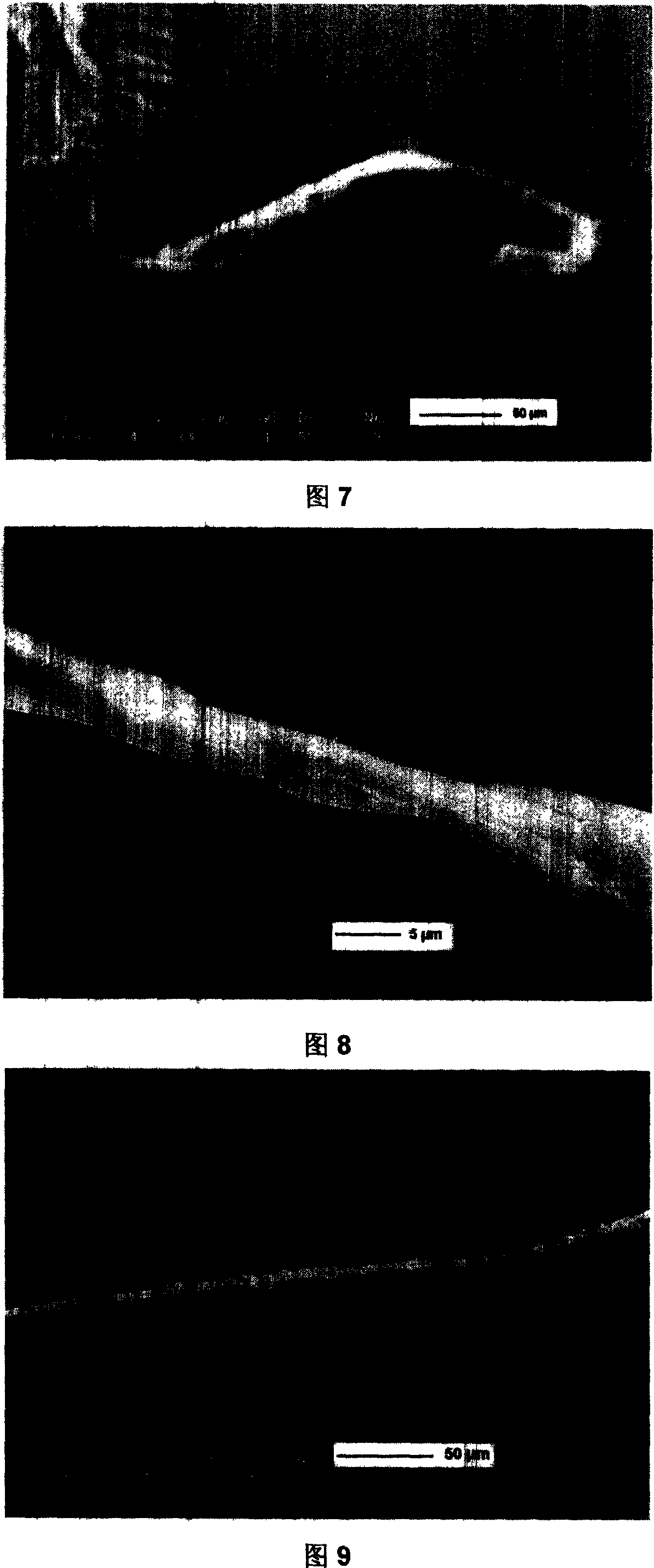 No-solvent electrically spinning process for preparing micron and nanometer fiber