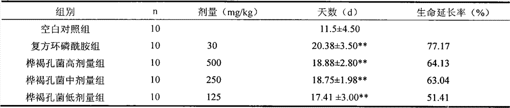 Inonotus obliquus extracellular and intracellular mixing crude polysaccharide with function of strengthening immunity