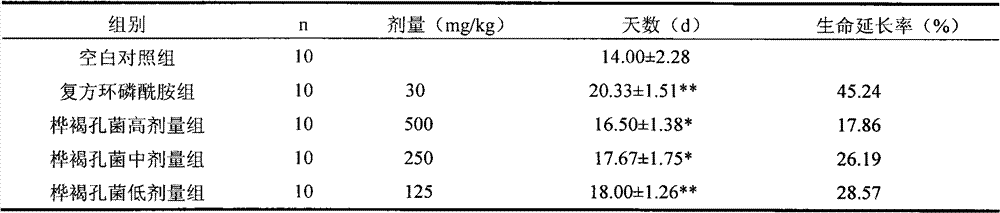 Inonotus obliquus extracellular and intracellular mixing crude polysaccharide with function of strengthening immunity