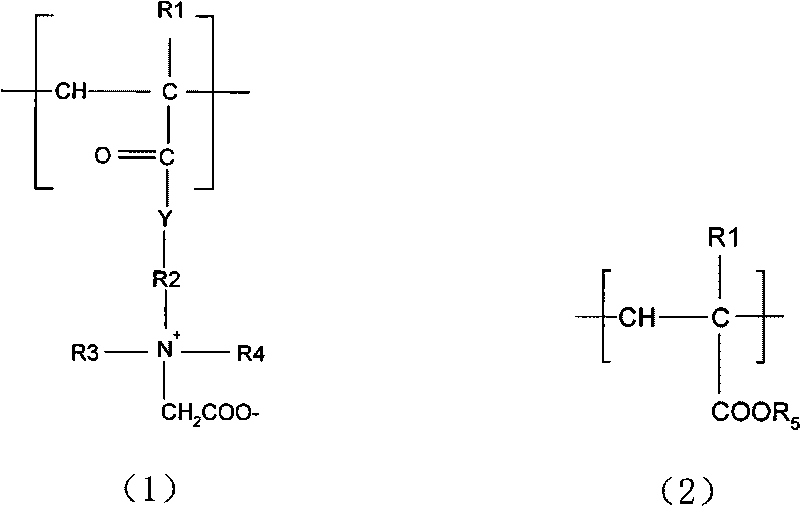 Amphoteric hair caring-fixing composite