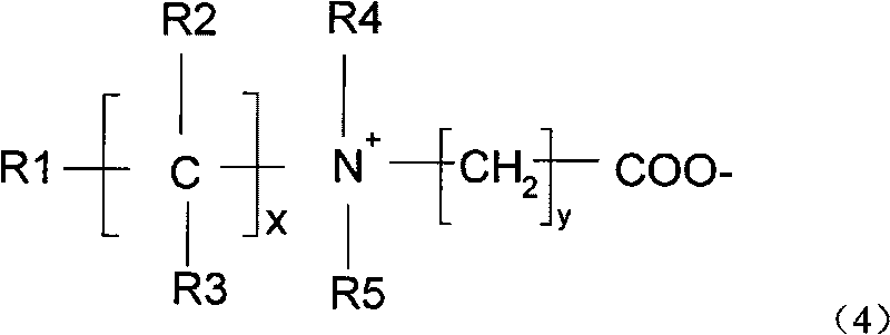 Amphoteric hair caring-fixing composite