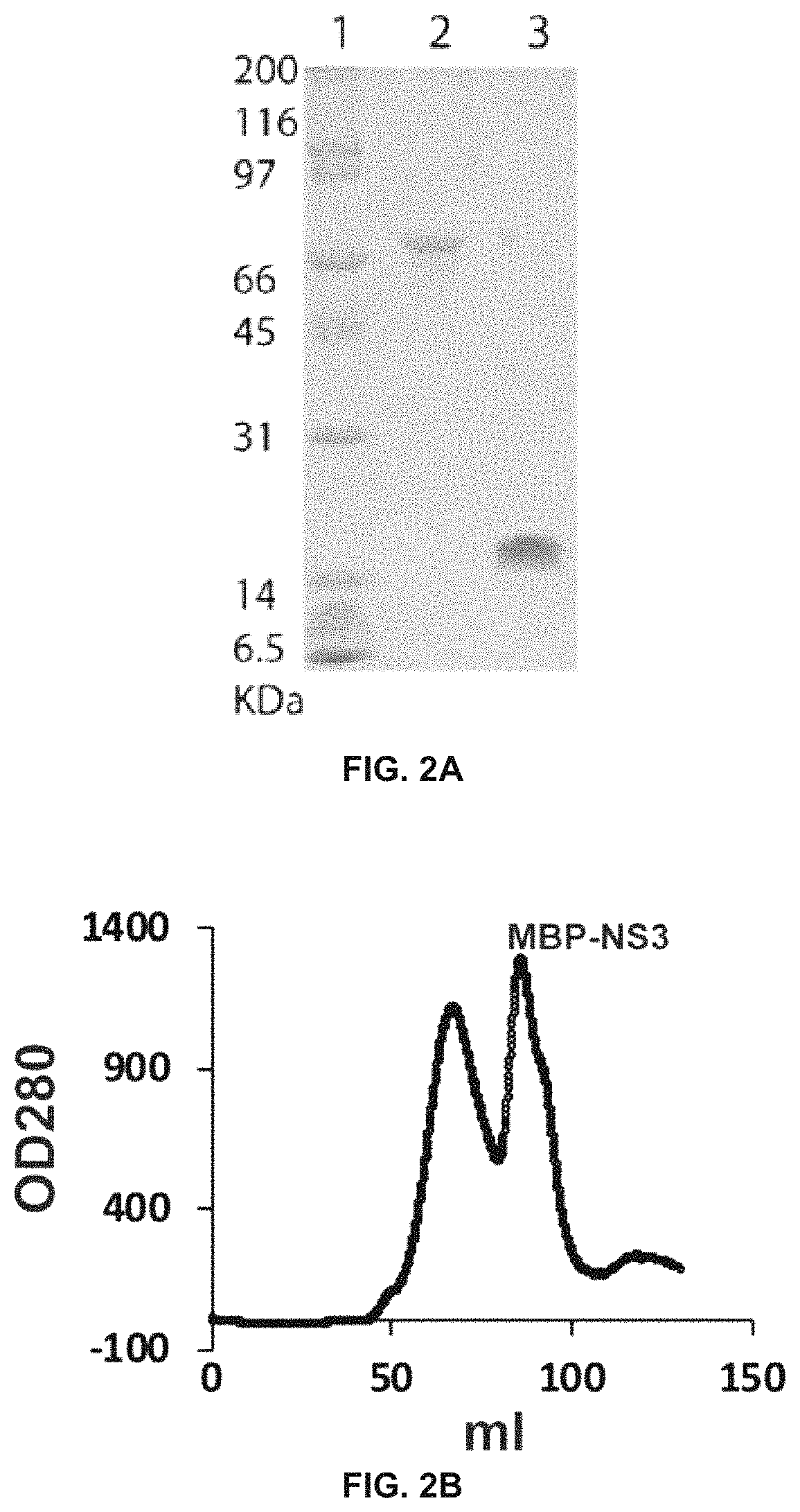 Pharmaceutical compositions with antiflaviviral activity