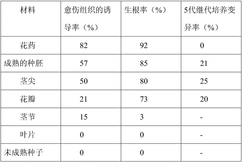 A kind of Iris free pollen culture method