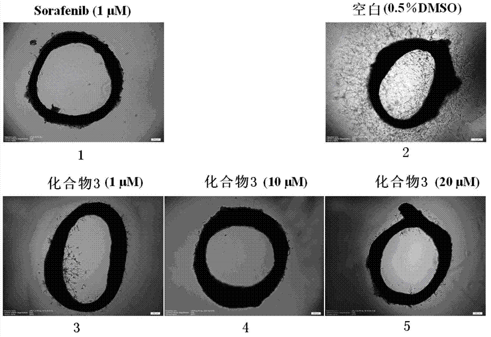 2-sulfo-4-amino-1-naphthol derivative and preparation method and application thereof