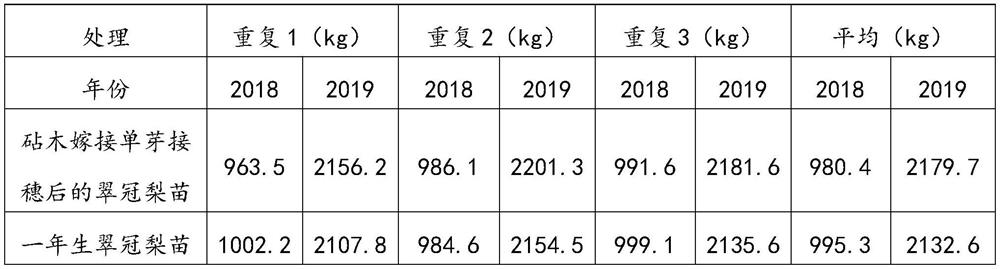 Pear tree early-fruiting high-yield cultivation method