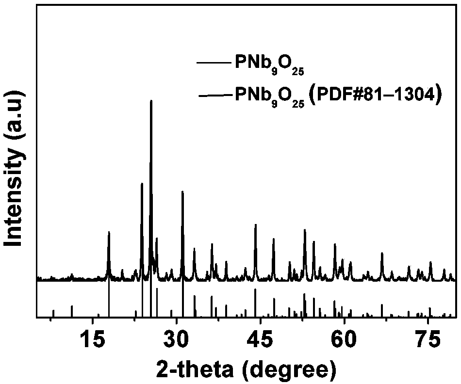 A kind of preparation method of phosphorus niobium oxide