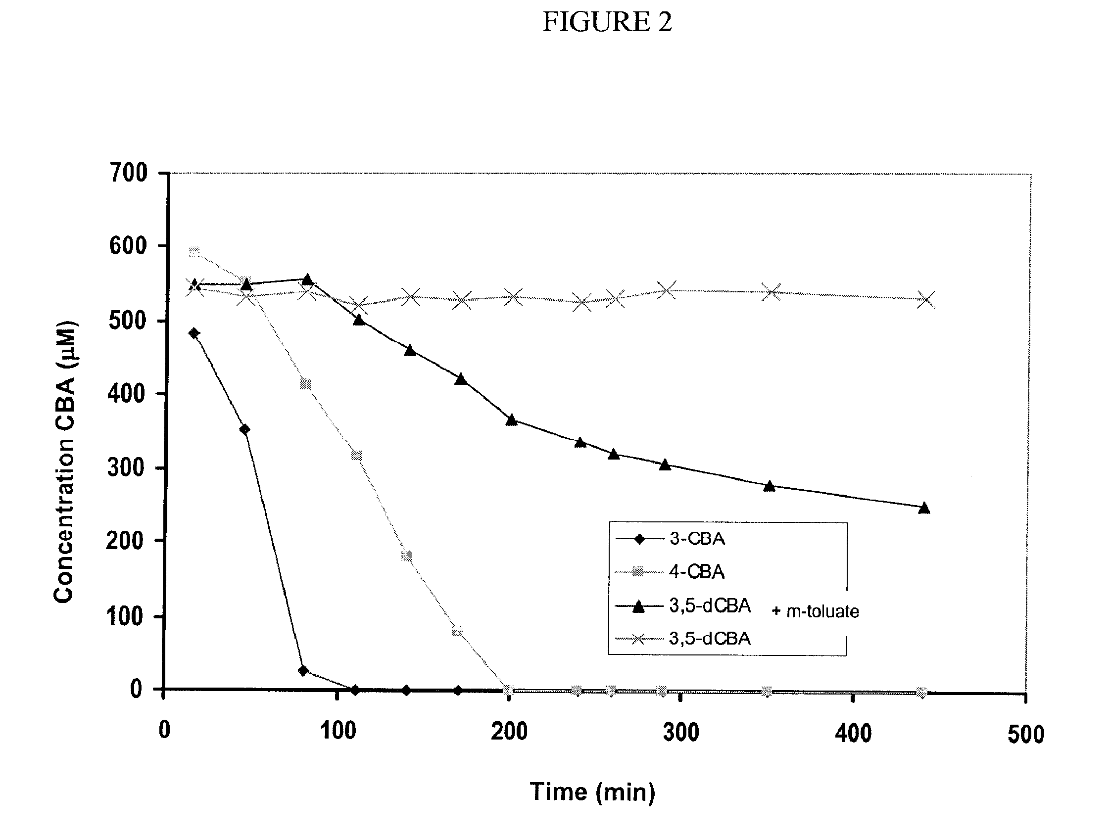 PCB-Degrading recombinant bacterium, product for the bioremediation and method of bioremediation