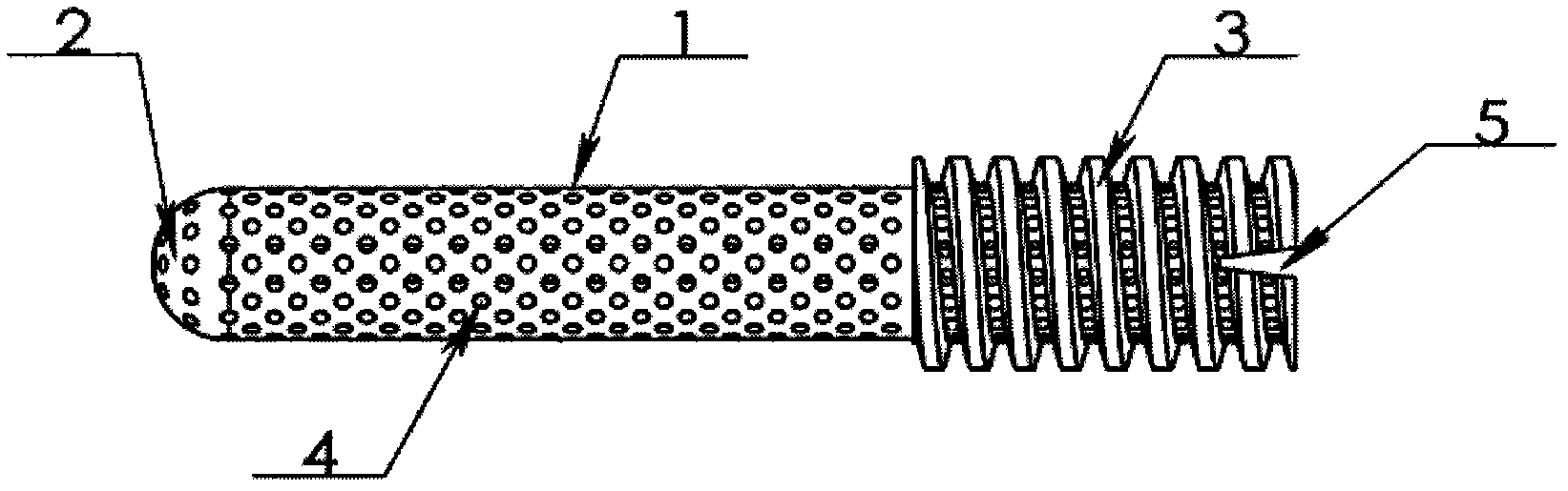 Inner supporting frame for femoral head