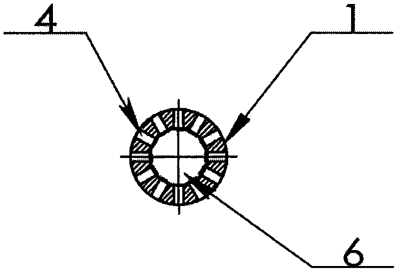 Inner supporting frame for femoral head