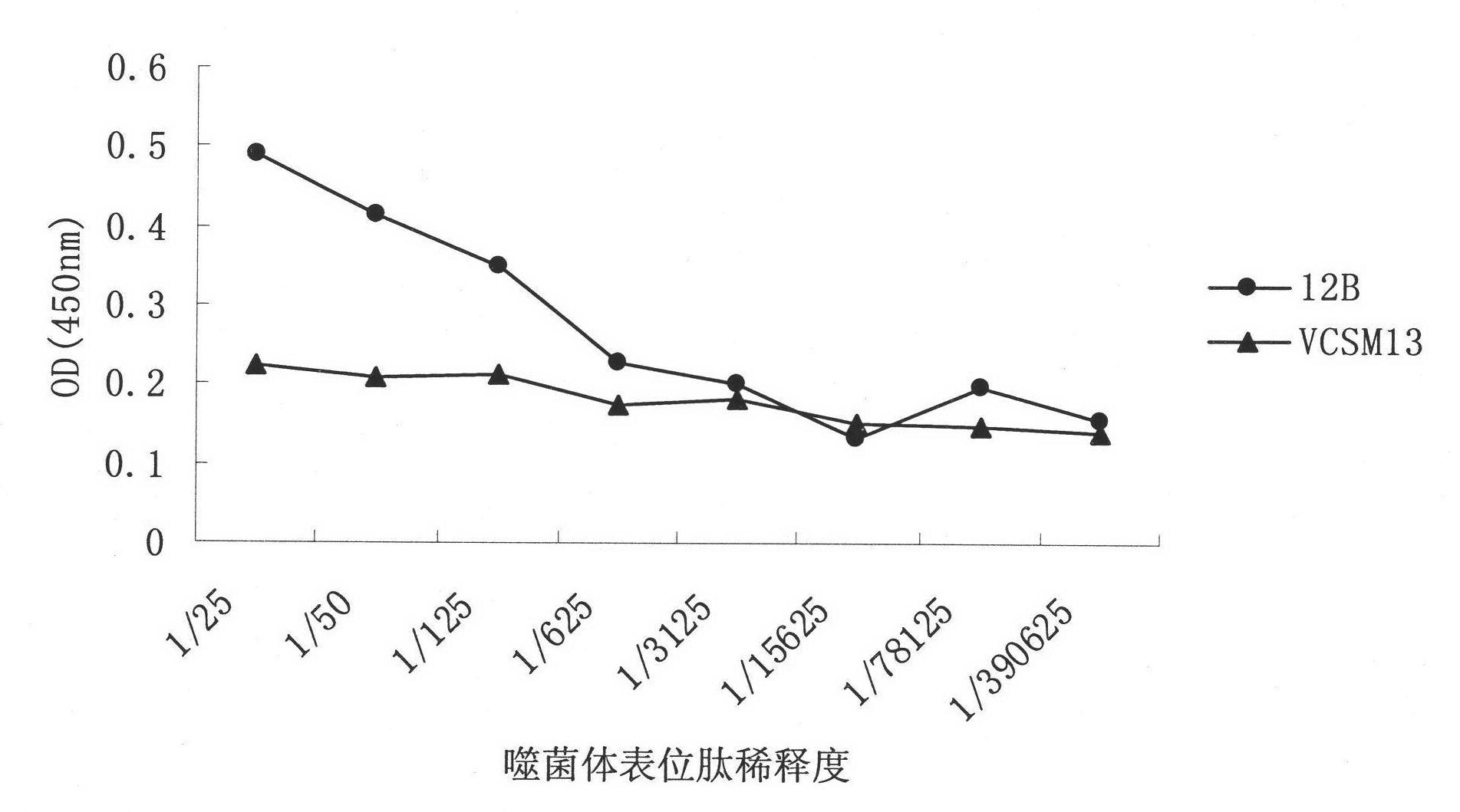 Mimic short peptide 12B of endothelial cell growth factor VEGF antigen epitope and application thereof