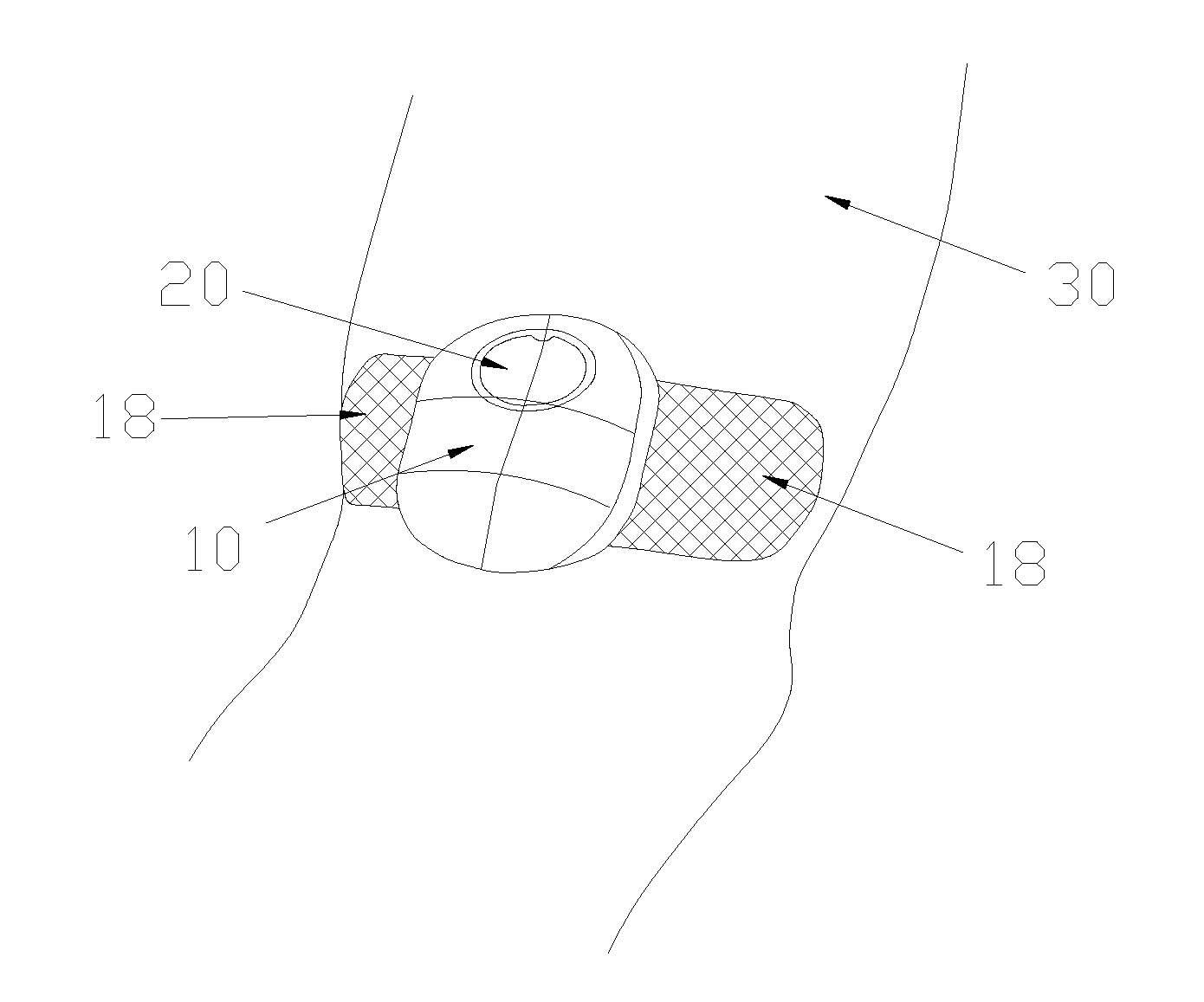 Dynamic blood glucose data acquiring device and host