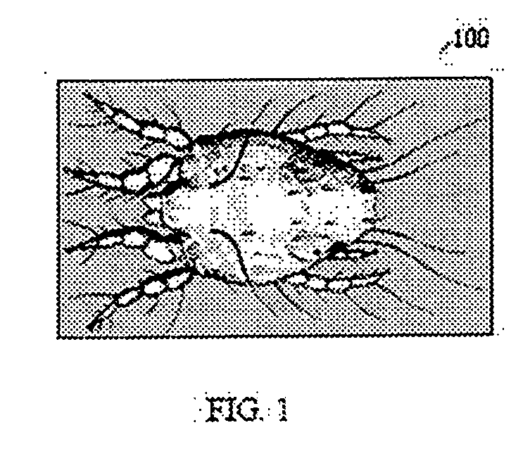 Organosilane quaternaries for acaricidal activity