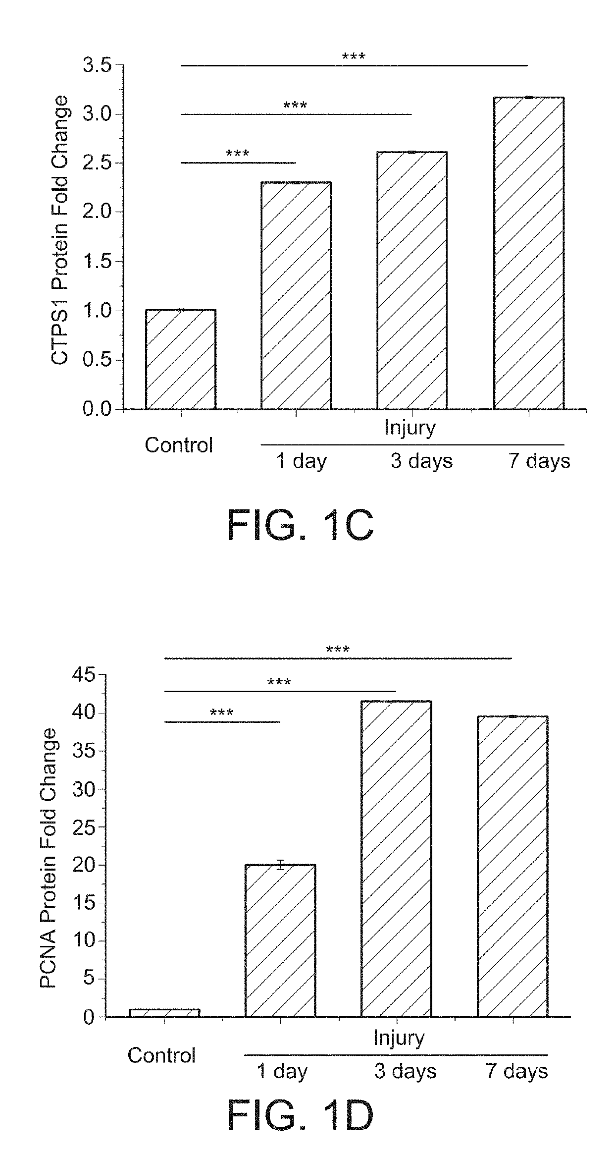 Compositions and methods for reducing neointima formation