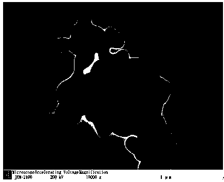 Device and method for quickly preparing lambda-Ti3O5 powder