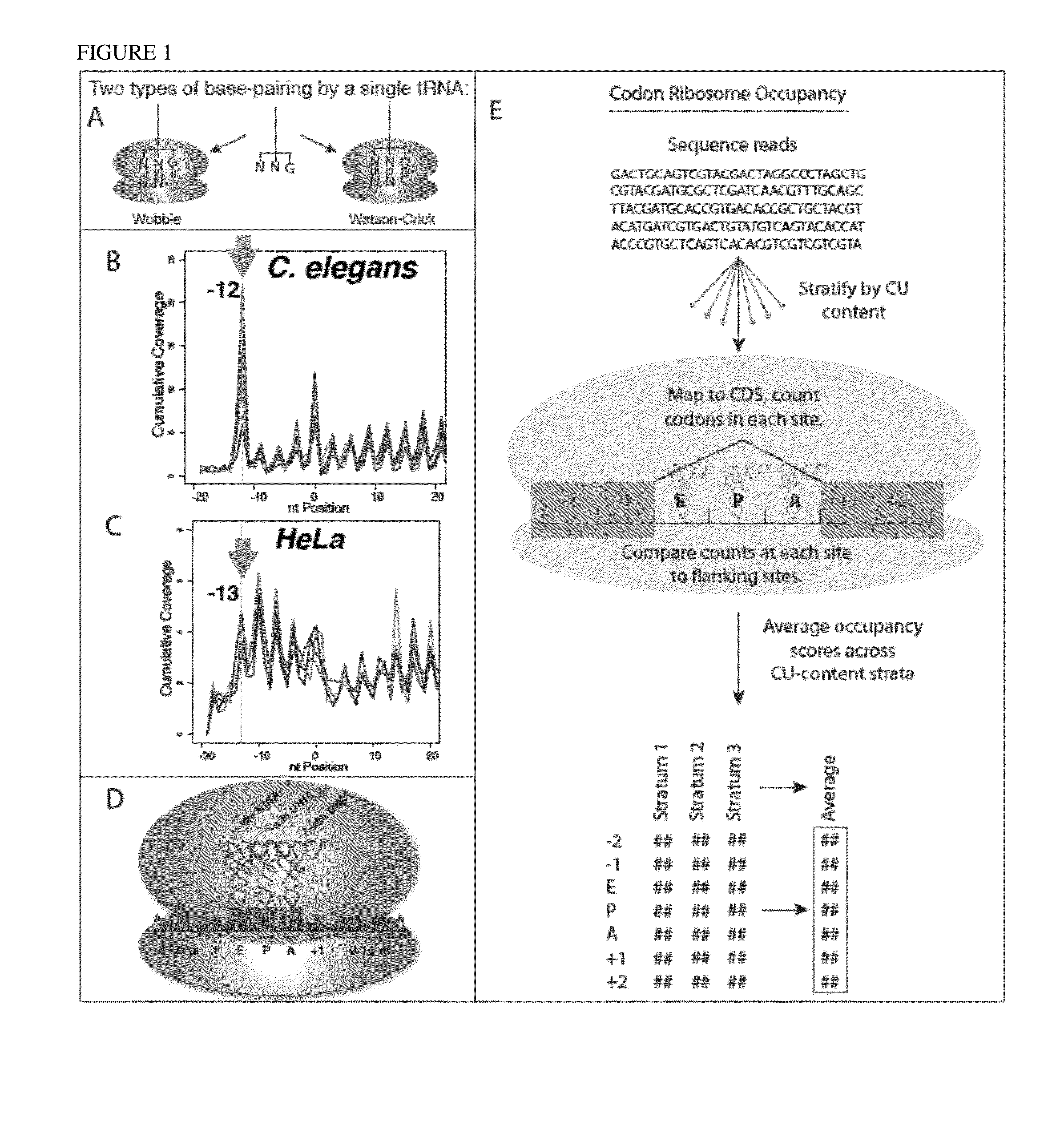 Translation Kinetic Mapping, Modification and Harmonization