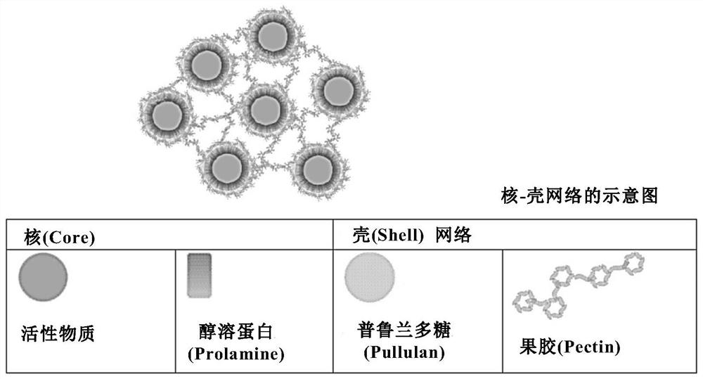 Active substance carrier comprising biopolymer