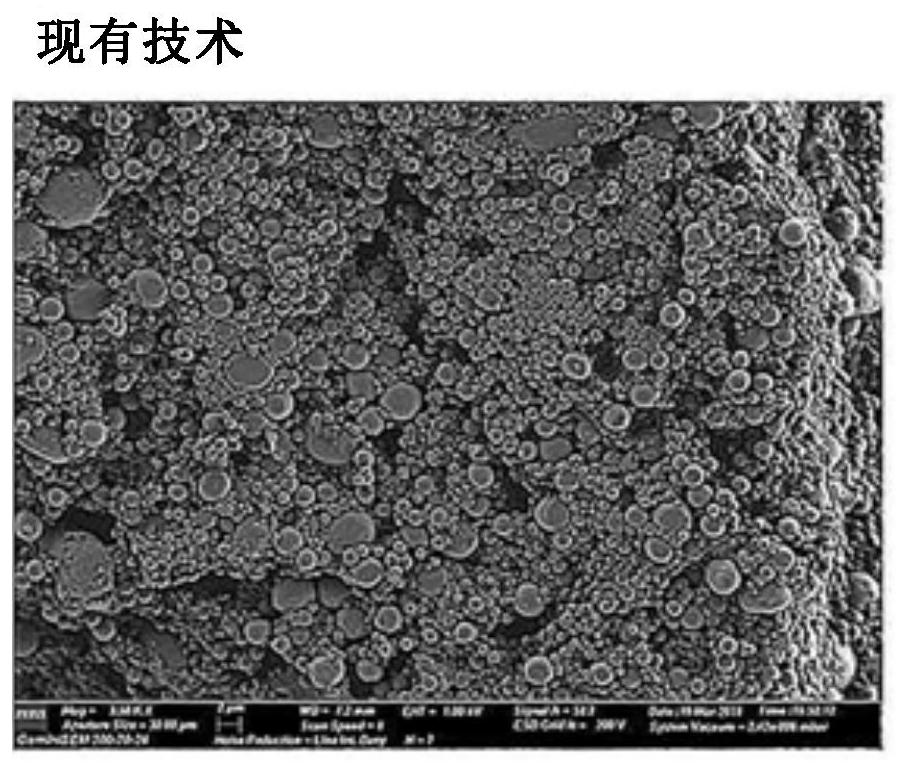 Active substance carrier comprising biopolymer