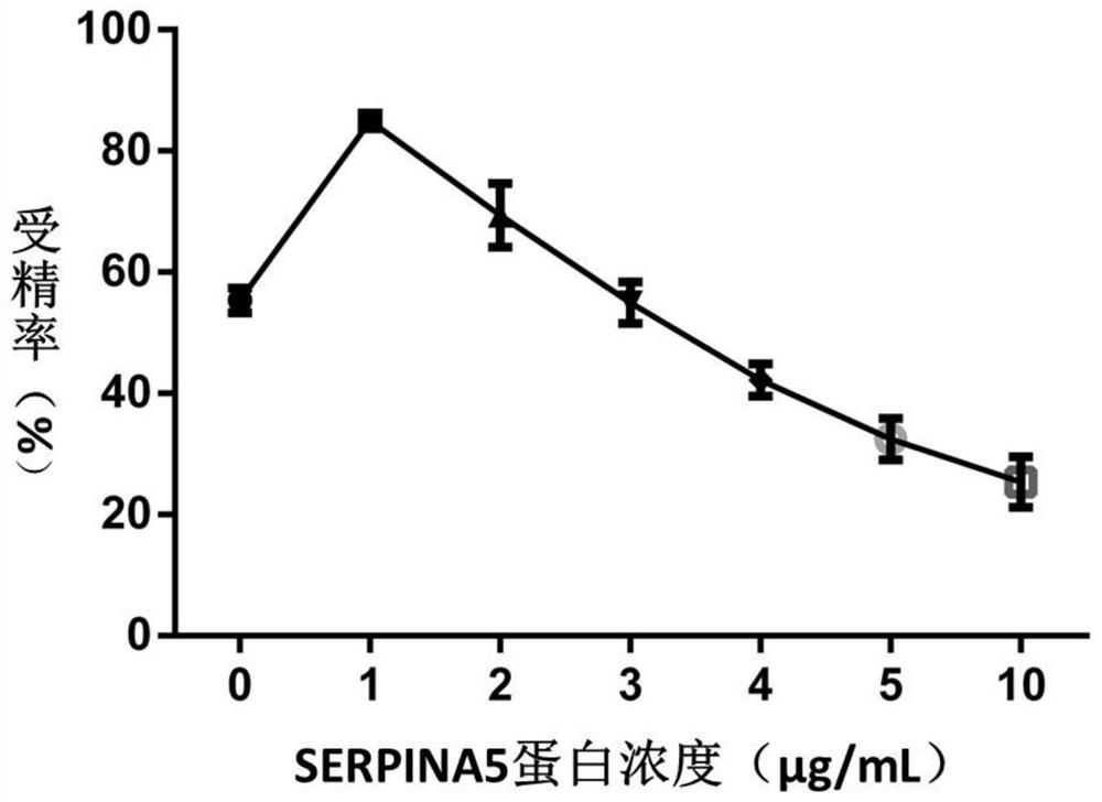 HTF liquid drop for improving fertilization ability of mouse sperms and preparation method and use method of HTF liquid drop