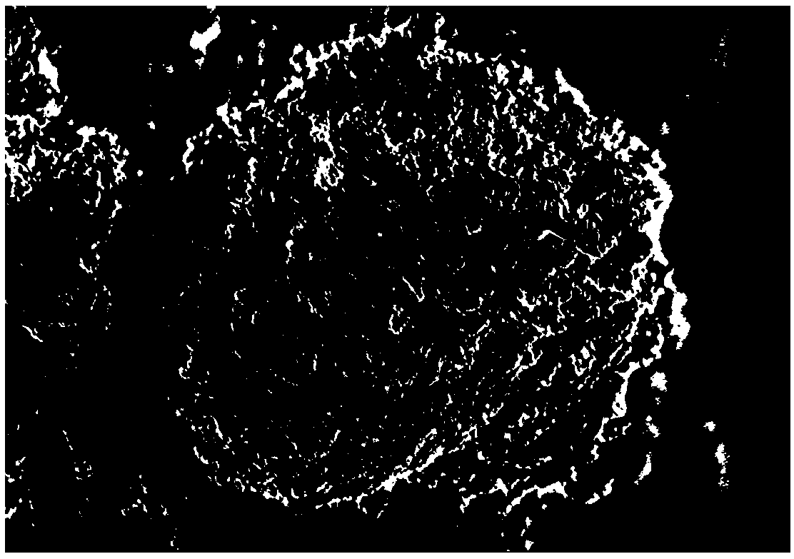 Efficient hemostatic material capable of promoting wound healing and preparation method thereof